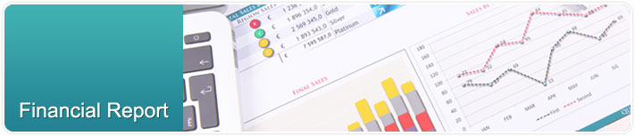 Financial Report